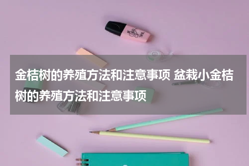 金桔树的养殖方法和注意事项 盆栽小金桔树的养殖方法和注意事项