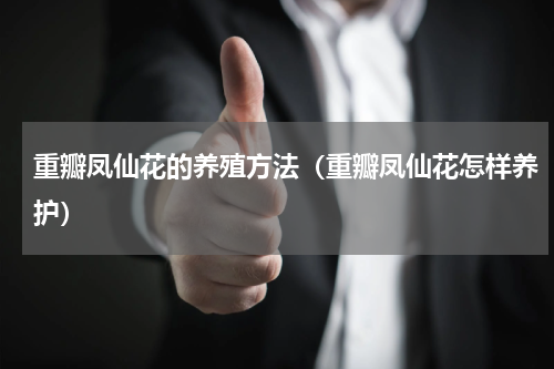 重瓣凤仙花的养殖方法（重瓣凤仙花怎样养护）