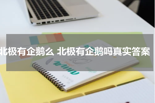 北极有企鹅么 北极有企鹅吗真实答案