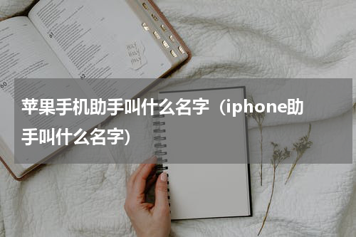 苹果手机助手叫什么名字（iphone助手叫什么名字）