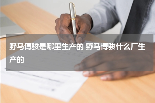 野马博骏是哪里生产的 野马博骏什么厂生产的