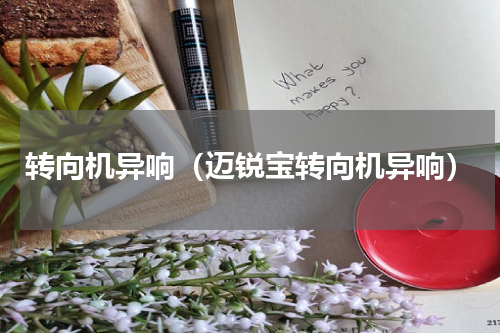 转向机异响（迈锐宝转向机异响）