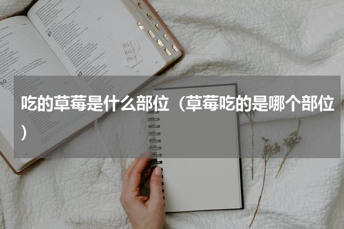 吃的草莓是什么部位（草莓吃的是哪个部位）
