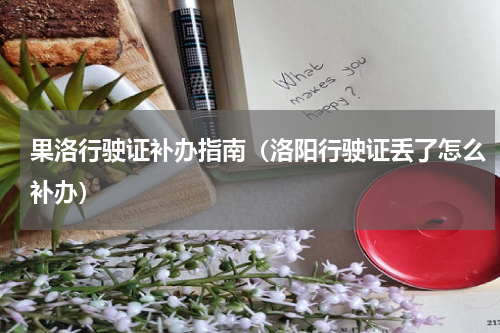 果洛行驶证补办指南（洛阳行驶证丢了怎么补办）