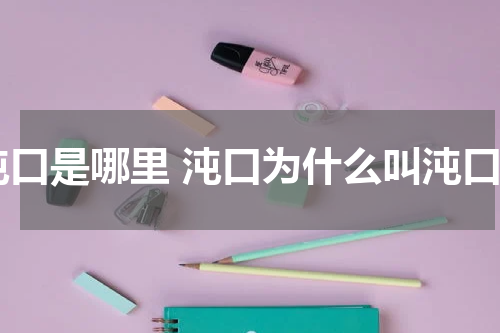 沌口是哪里 沌口为什么叫沌口