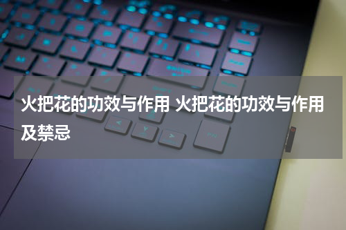火把花的功效与作用 火把花的功效与作用及禁忌