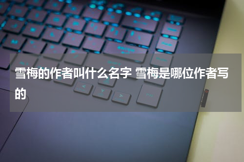 雪梅的作者叫什么名字 雪梅是哪位作者写的