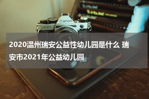 2020温州瑞安公益性幼儿园是什么 瑞安市2021年公益幼儿园