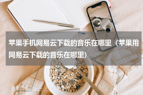苹果手机网易云下载的音乐在哪里（苹果用网易云下载的音乐在哪里）